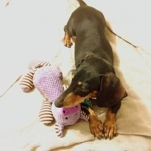 Meet your Posher, Lori